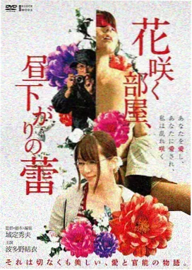 第七次日落剧集封面